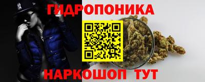 молекула духа Рыбинск