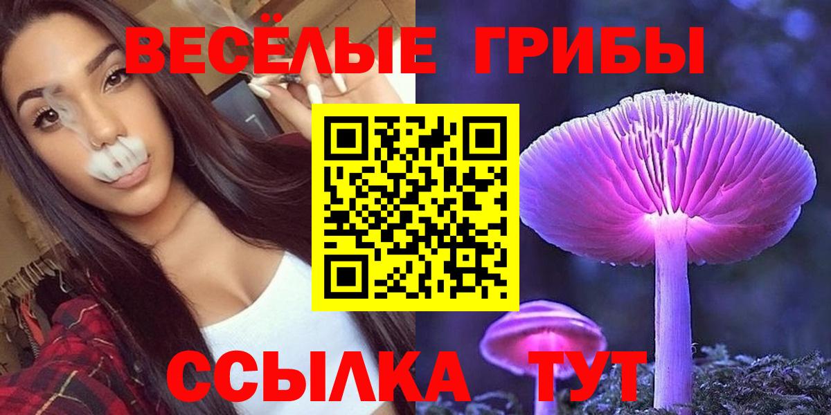 Псилоцибиновые грибы Psilocybine cubensis Россошь